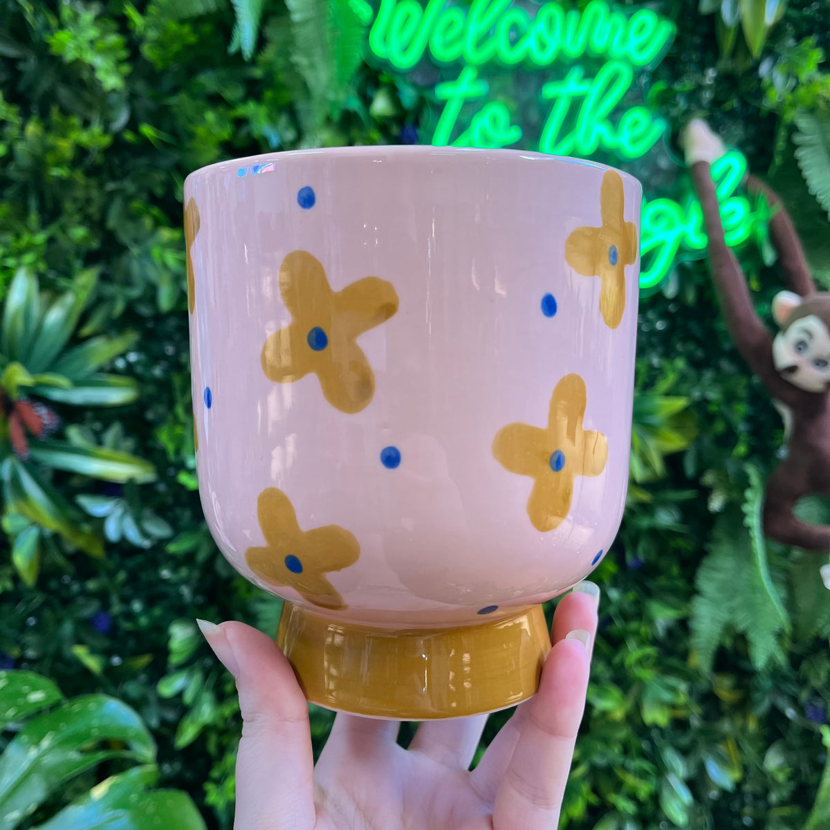 Momsy Pot