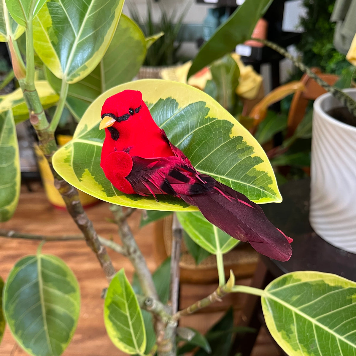 Extra Large Cardinal Magnets
