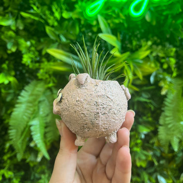 Henrietta the Pig - Blobhouse Planter
