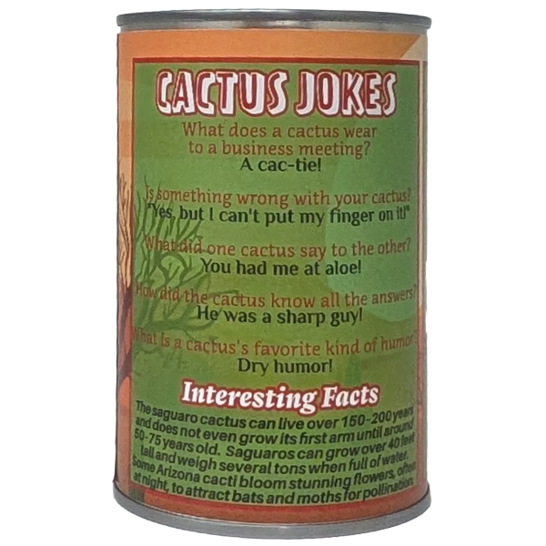 Prickly Pete the Canned Cactus Stuffy