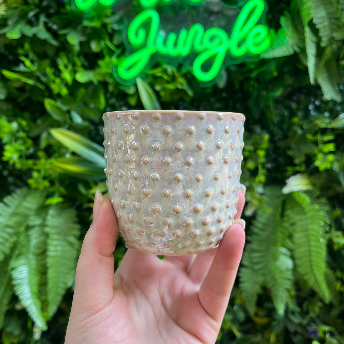 Everly Pot