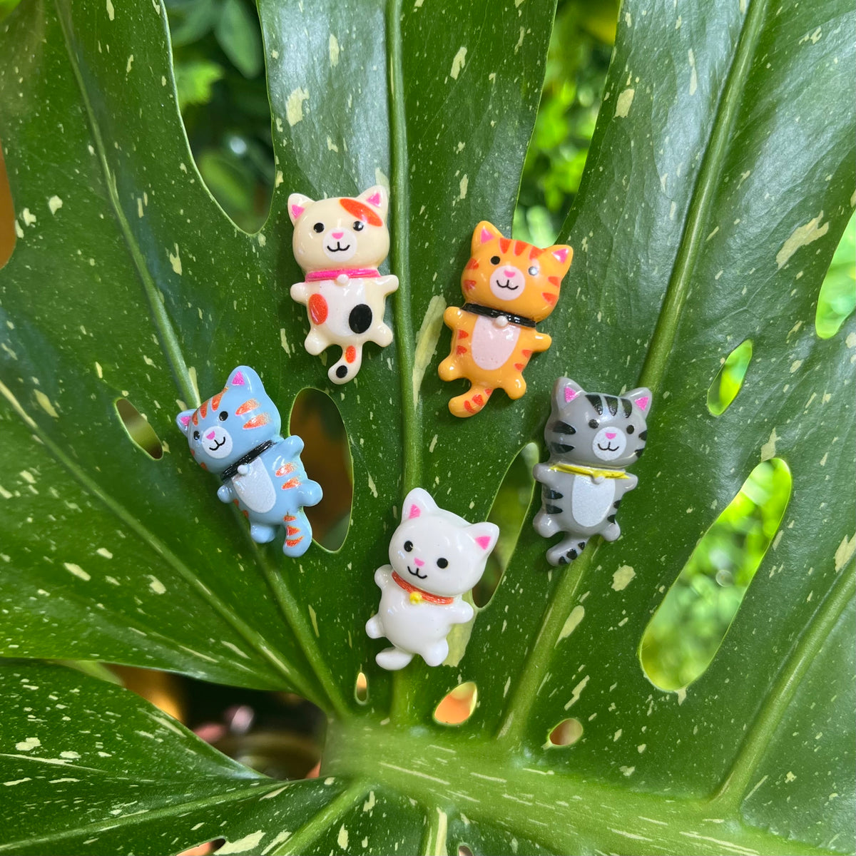 Mini Cat Plant Magnet