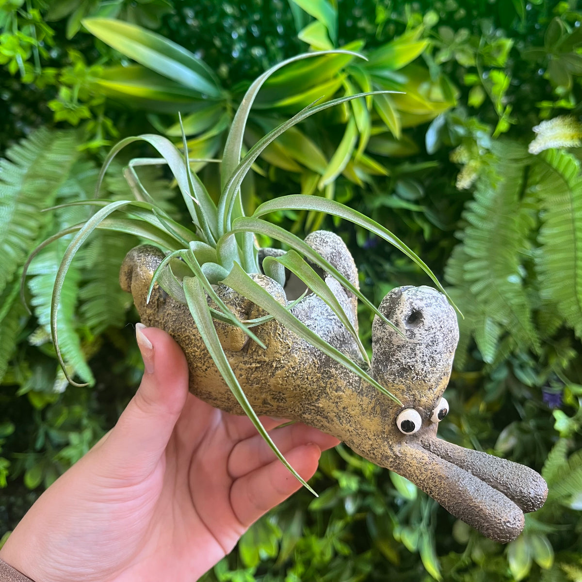 Chester the Donkey - Blobhouse Planter