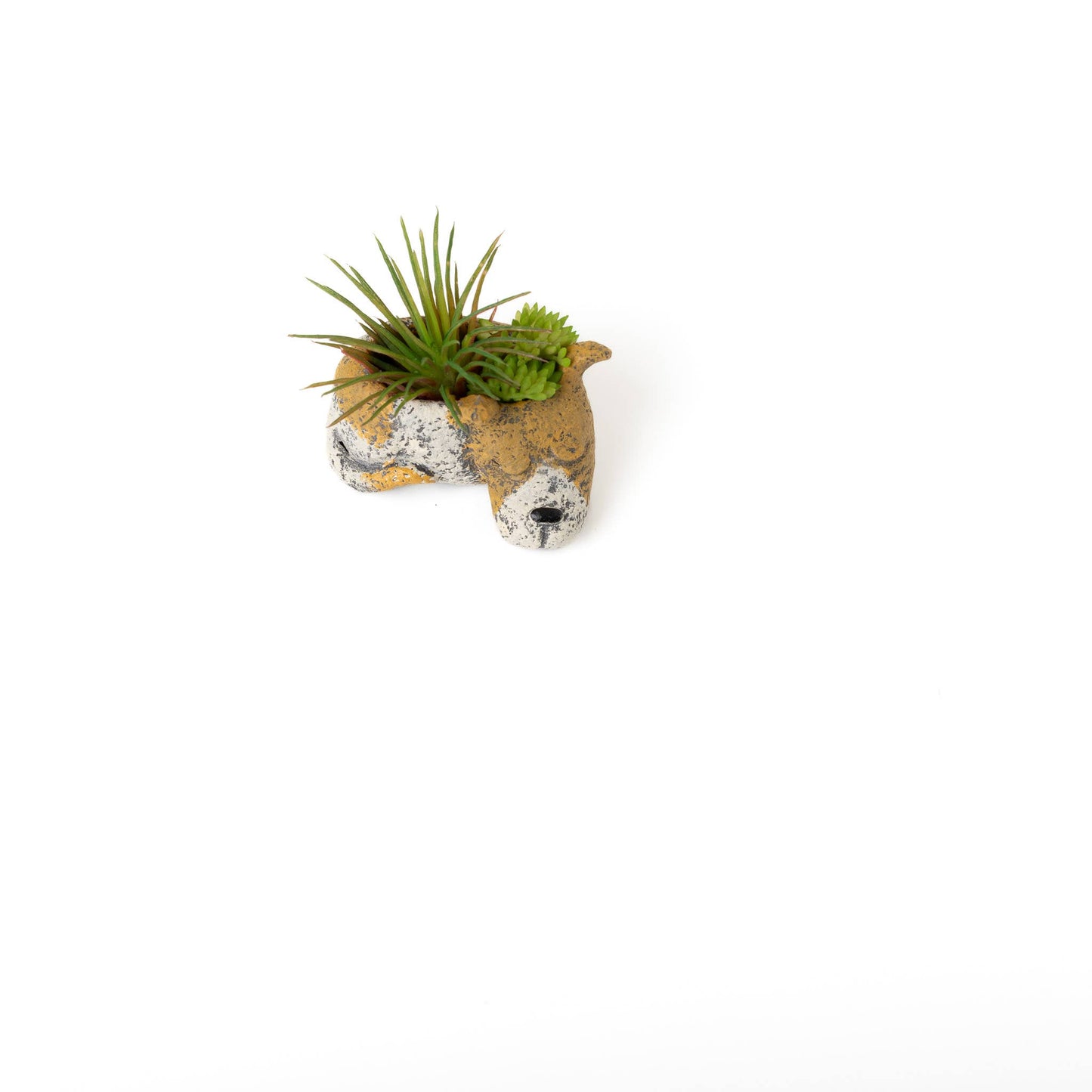 Luna the Dog - Mini Blobhouse Planter