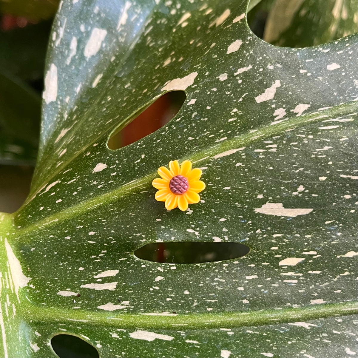 Flower Plant Magnet