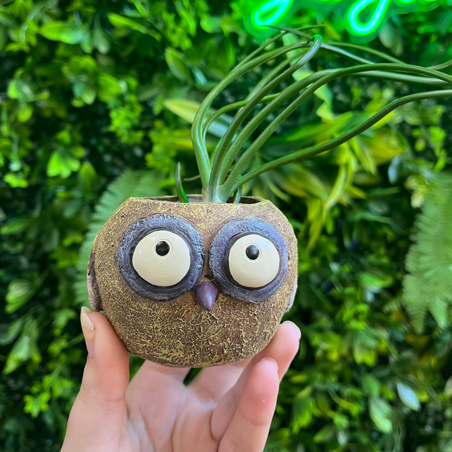 Olive the Baby Yellow Owl - Mini Blobhouse Planter