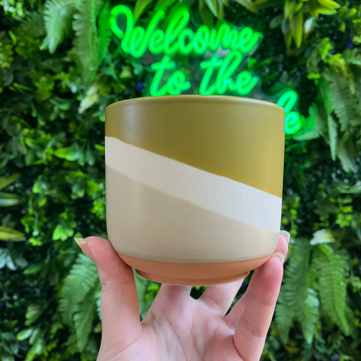 Colorway Pot