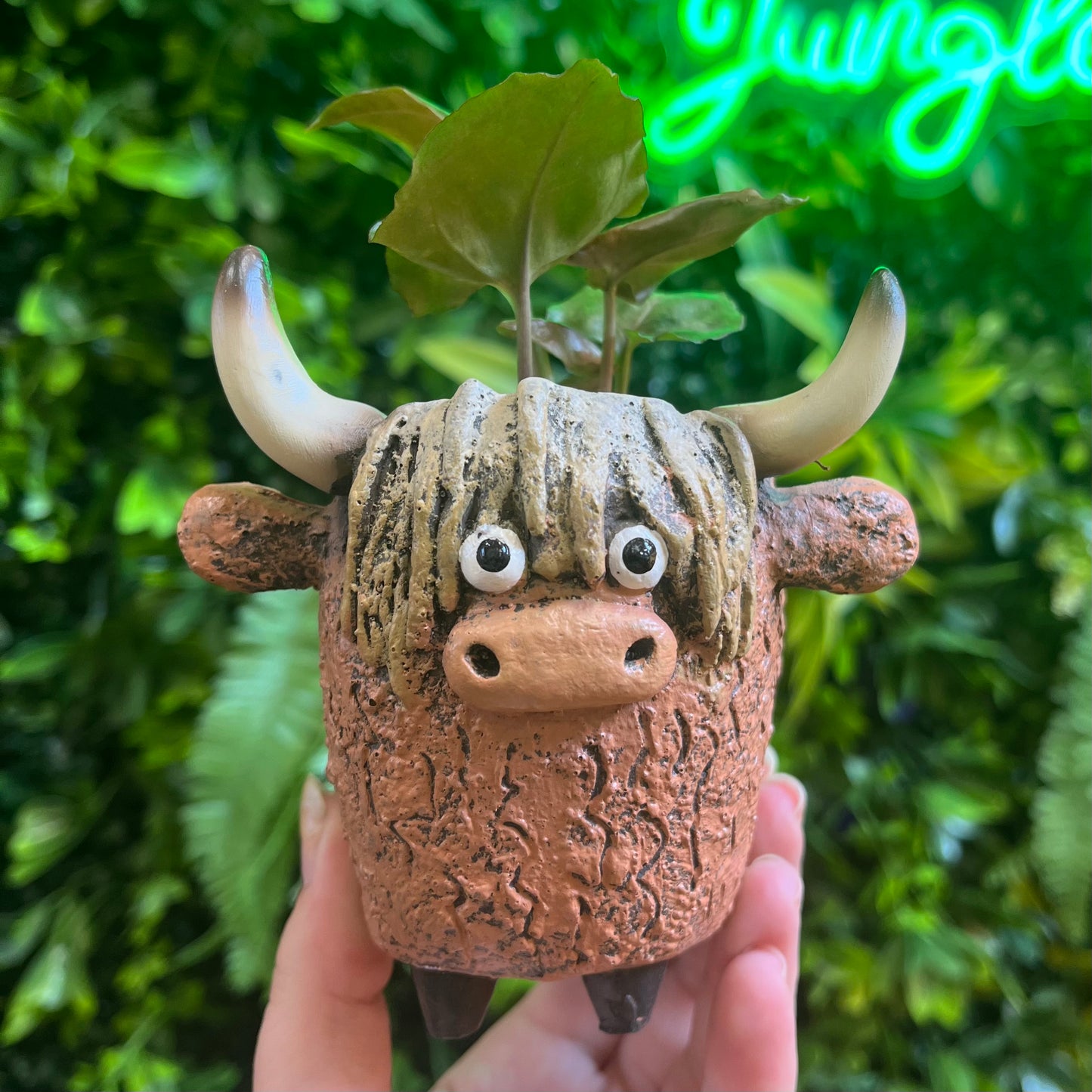 Dougal the Highland Cow - Blobhouse Planter