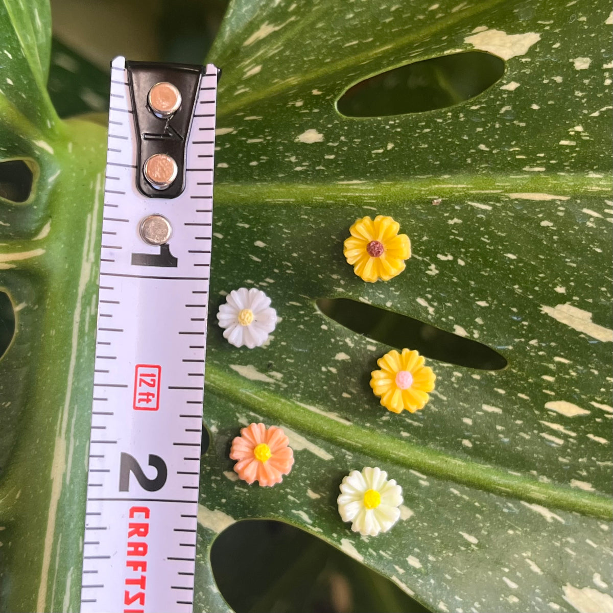 Flower Plant Magnet