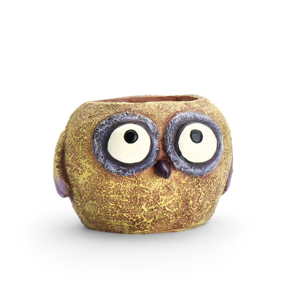 Olive the Baby Yellow Owl - Mini Blobhouse Planter