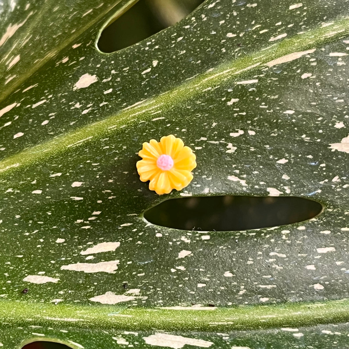 Flower Plant Magnet