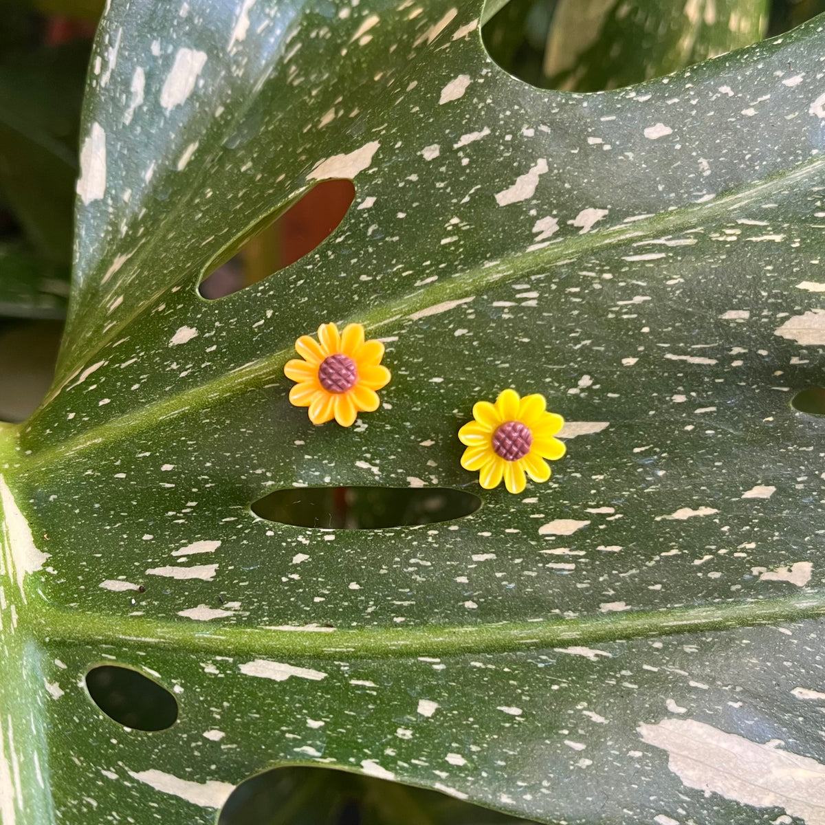 Flower Plant Magnet