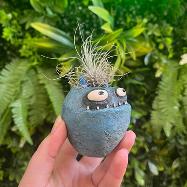 Murphy the Blue Bloomie - Blobhouse Planter