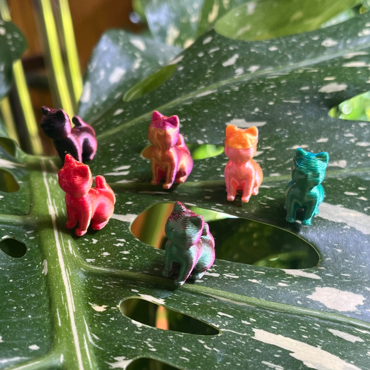 Mini 3D Cat Plant Magnet - Assorted Colors