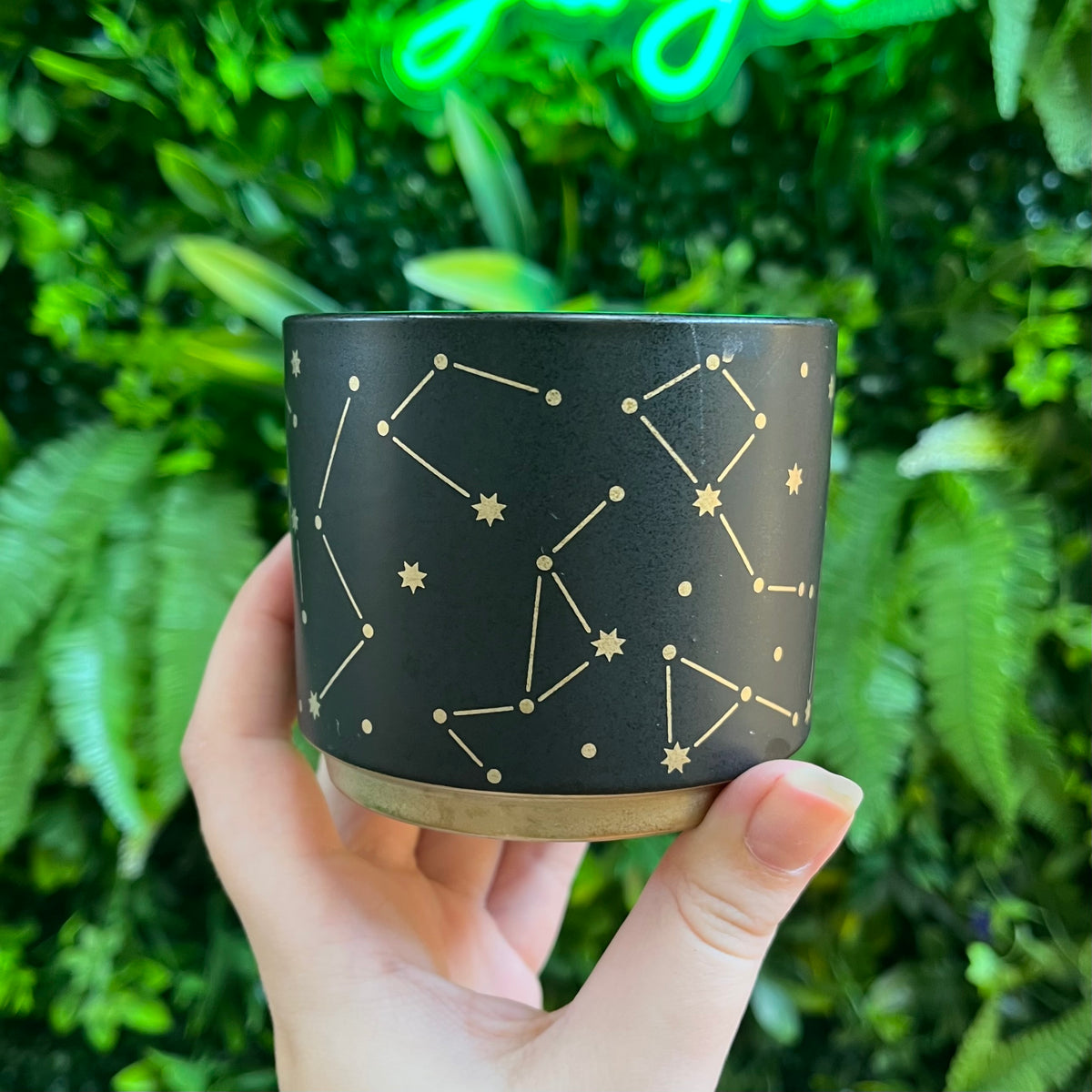 Universe Pot