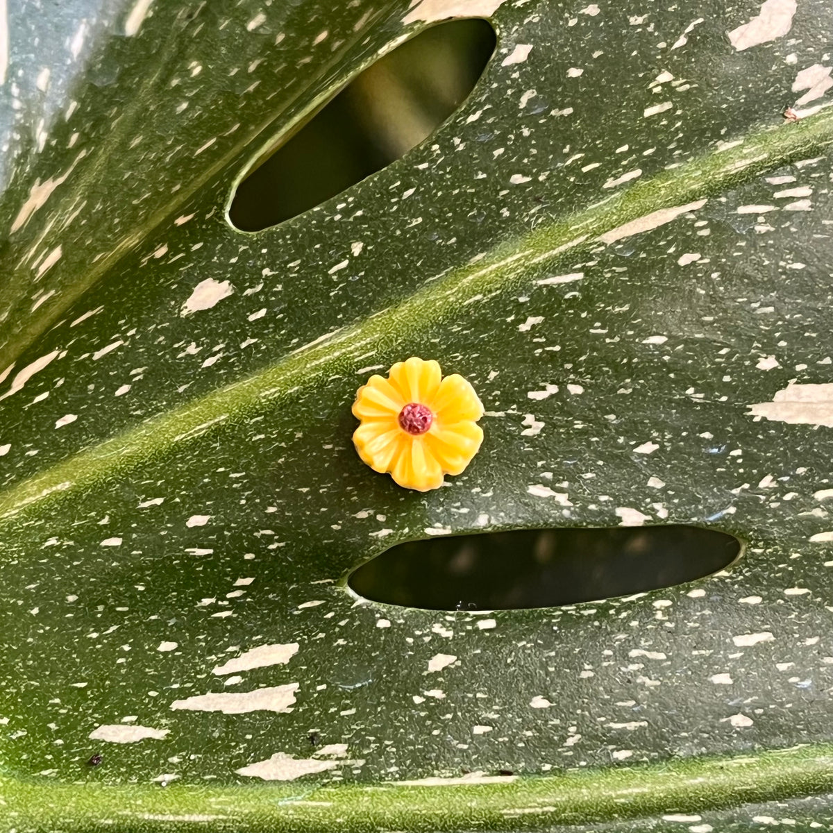Flower Plant Magnet