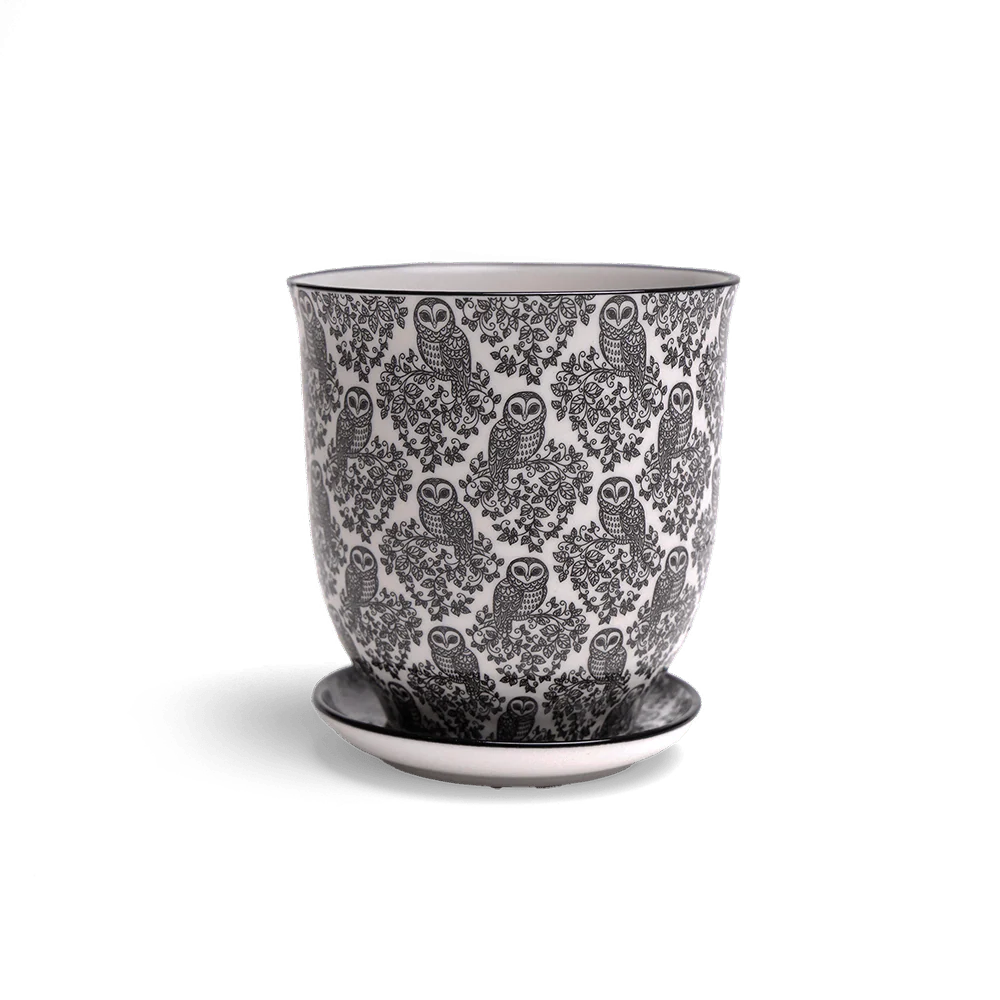 Owl Porcelain Pot And Saucer Set