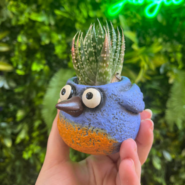 Winkle the Baby Blue Bird - Mini Blobhouse Planter