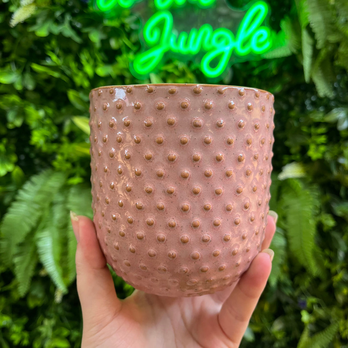 Everly Pot