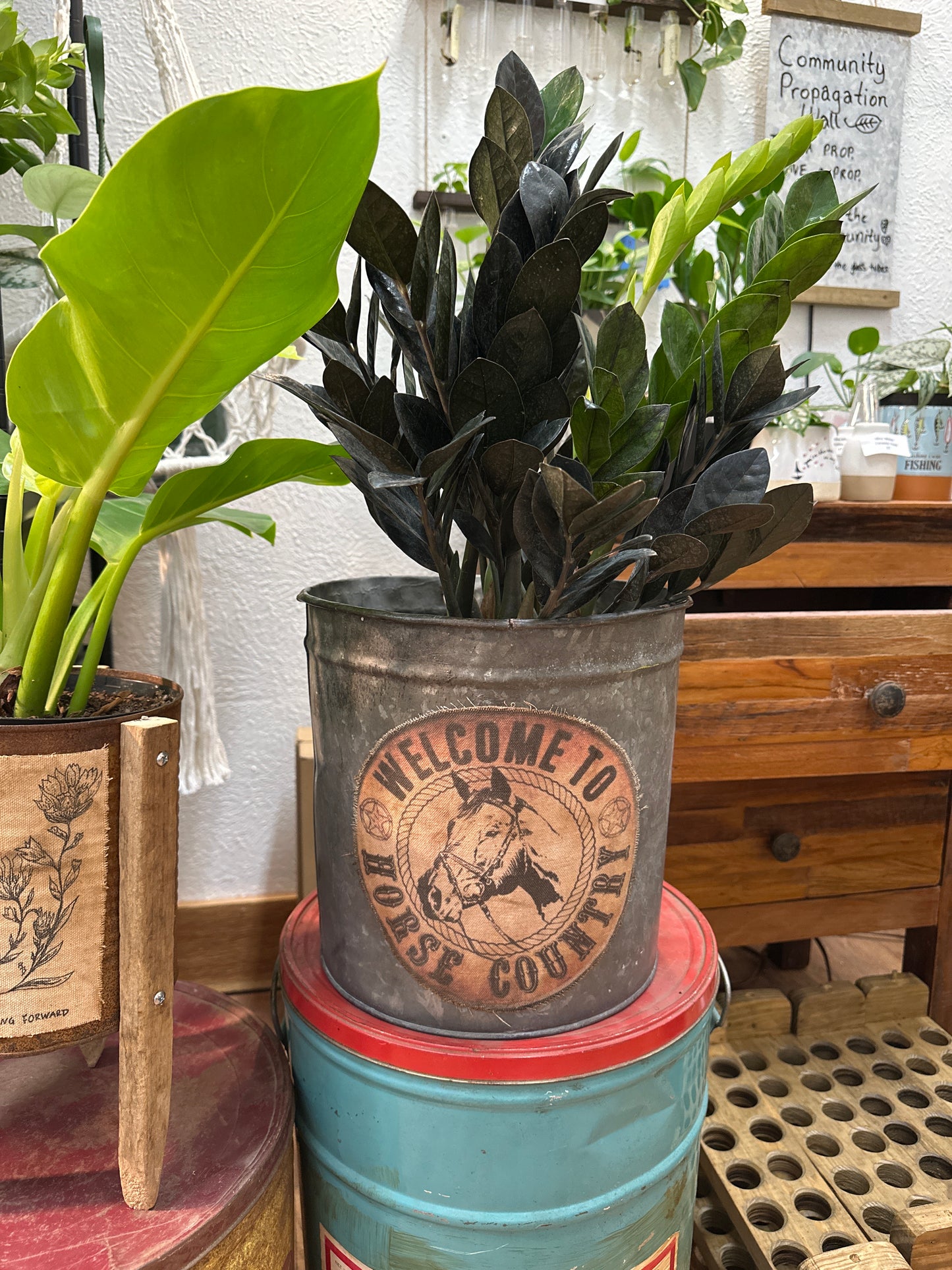 Welcome to horse country bucket 10” opening
