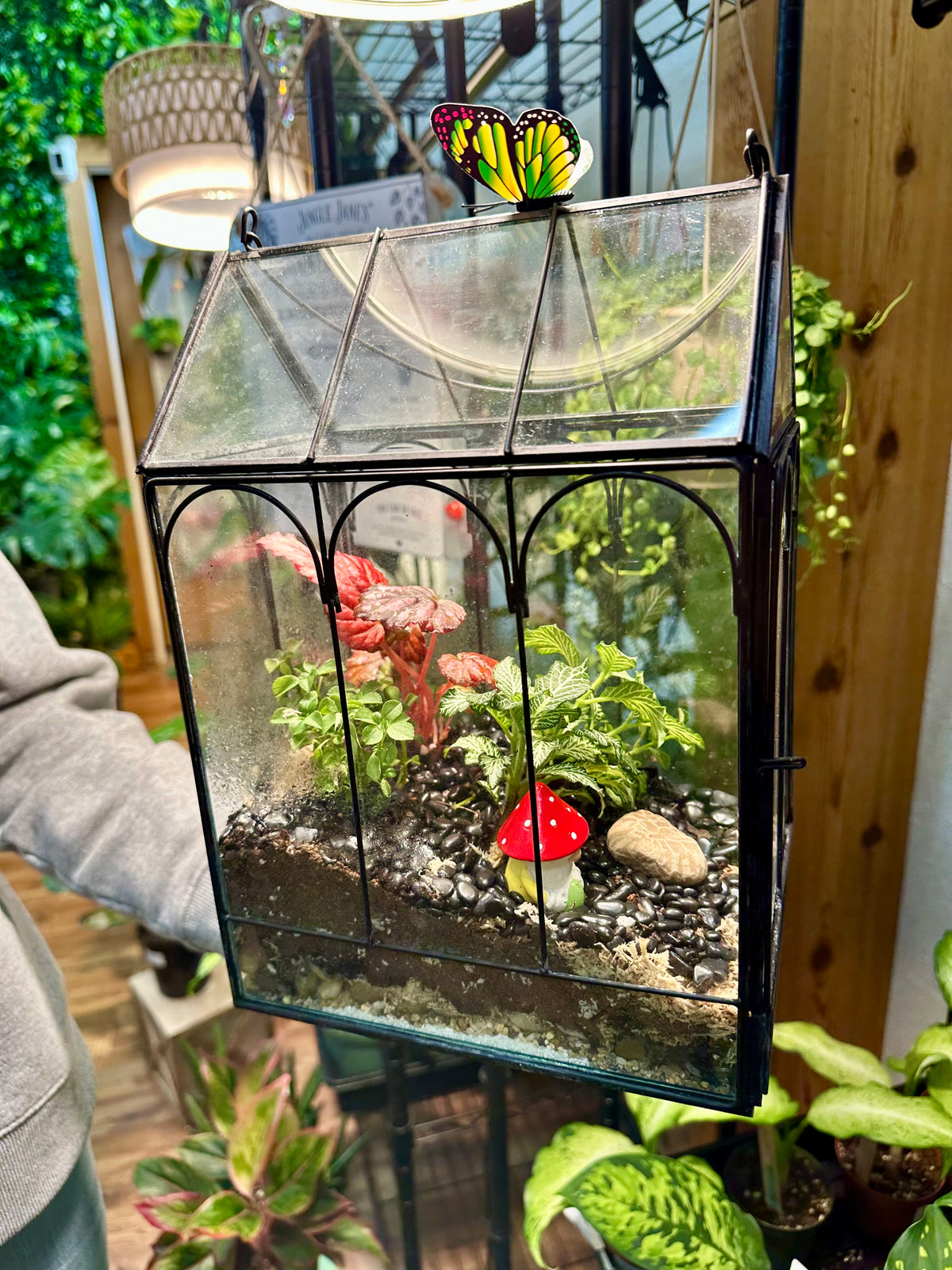 Self-Sustaining Terrarium Workshop