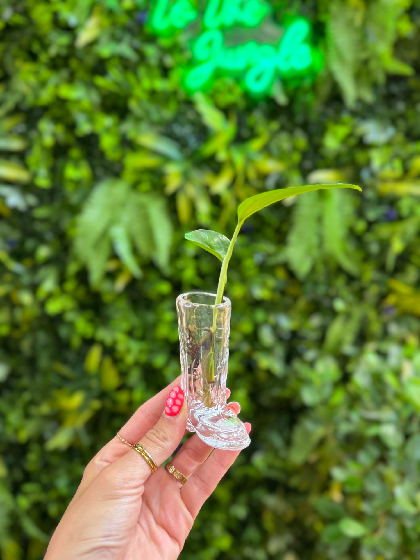 Glass Bud Boots