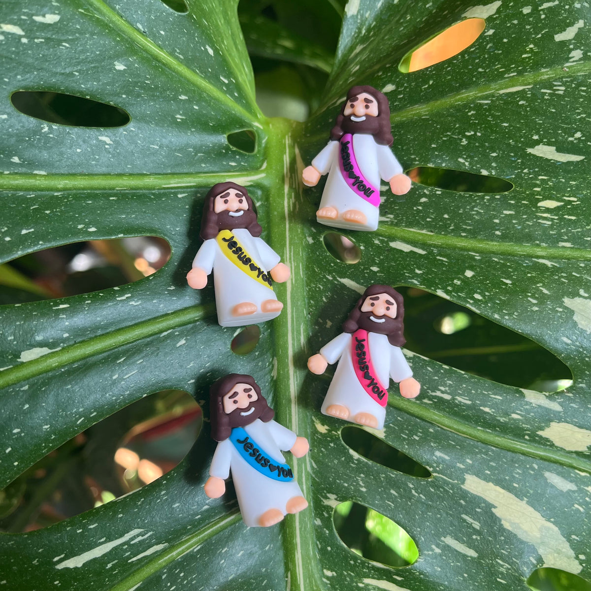 Mini Jesus Plant Magnet