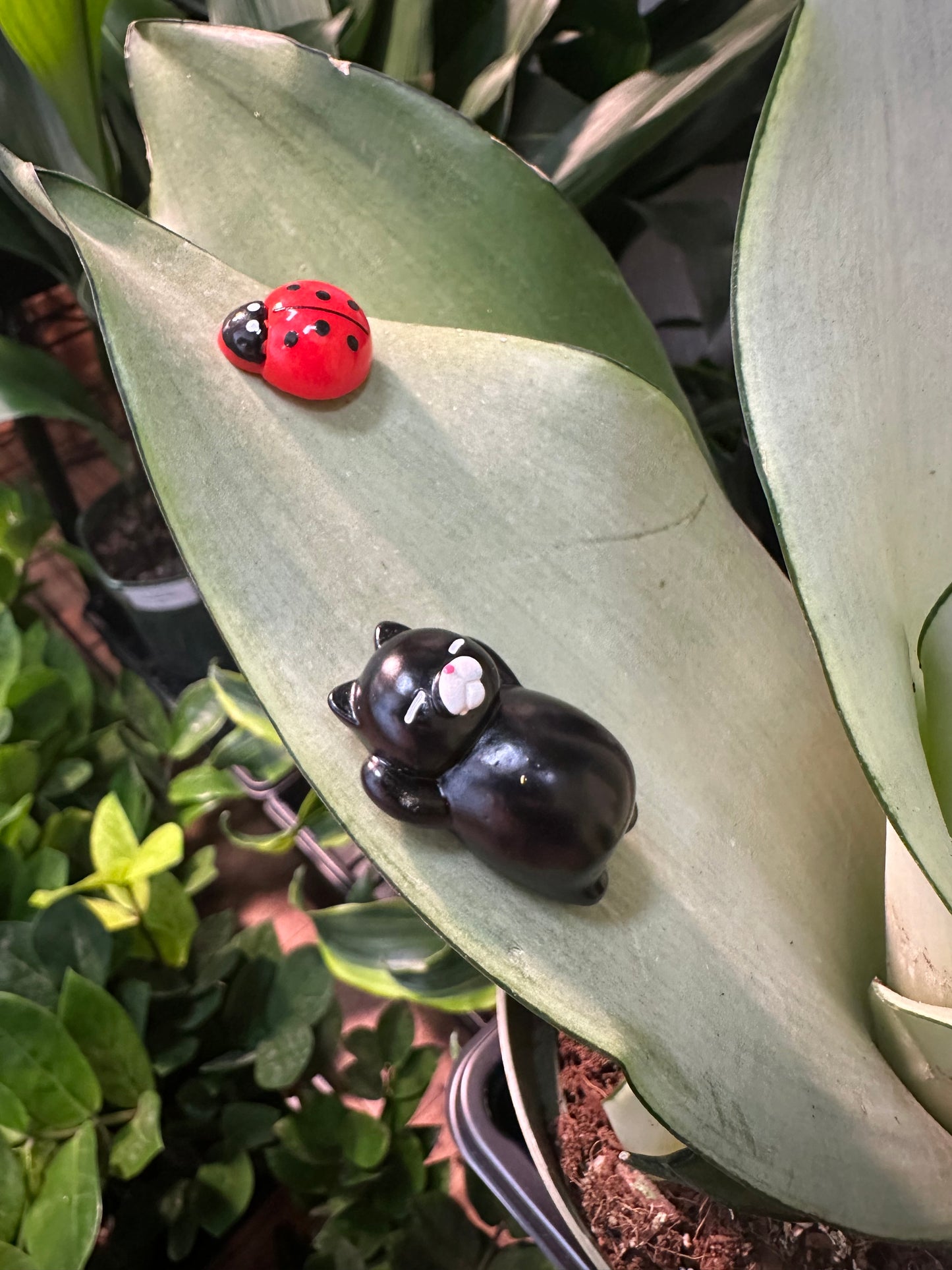 Lazy Cat Plant Magnet