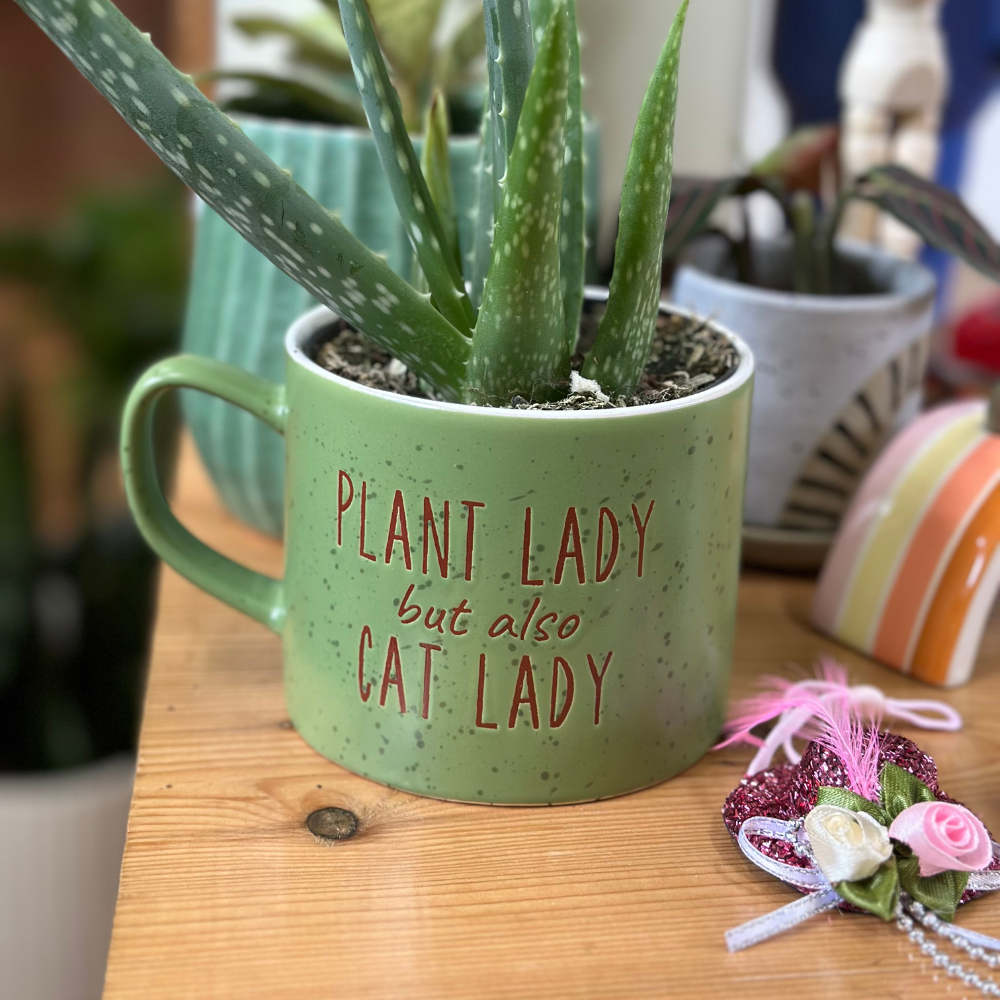 Cat Plant Pot