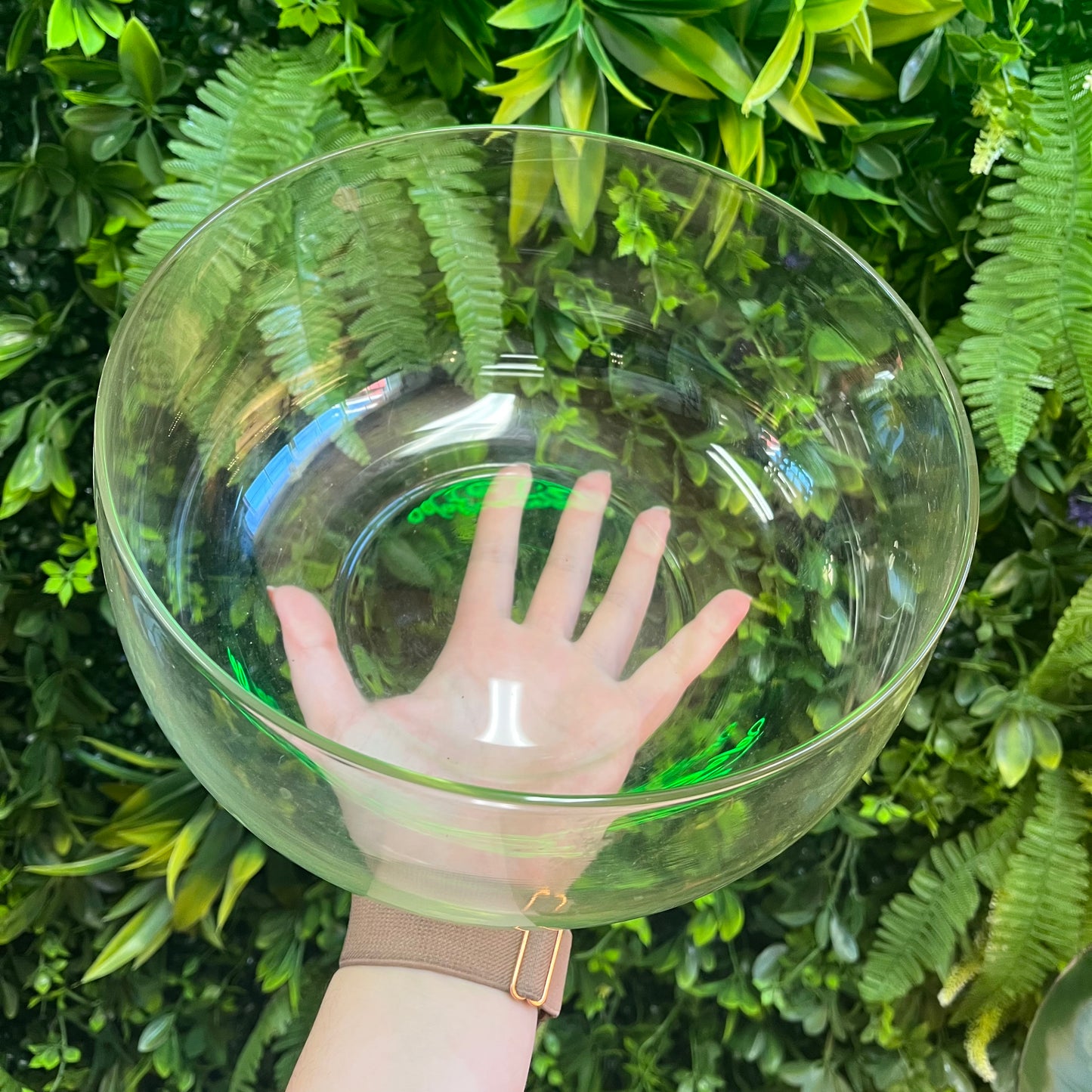 Clear glass bowl held by a hand against a green leafy background