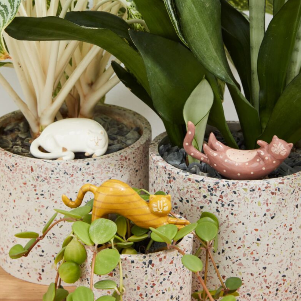 Curious Cat Plant Stick