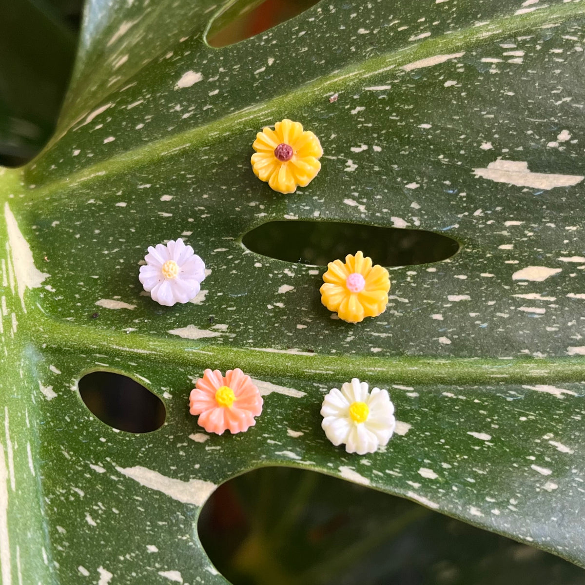 Flower Plant Magnet