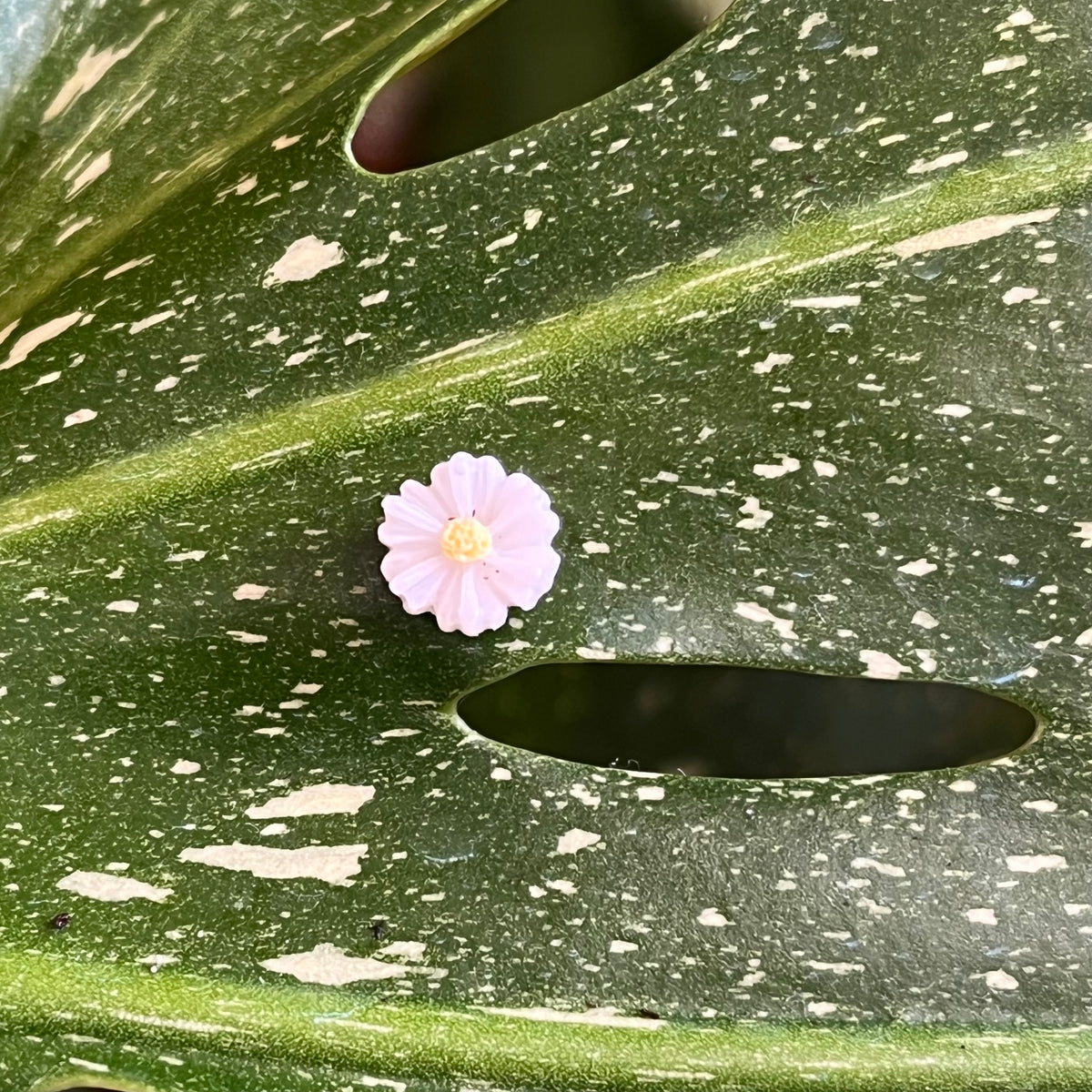 Flower Plant Magnet