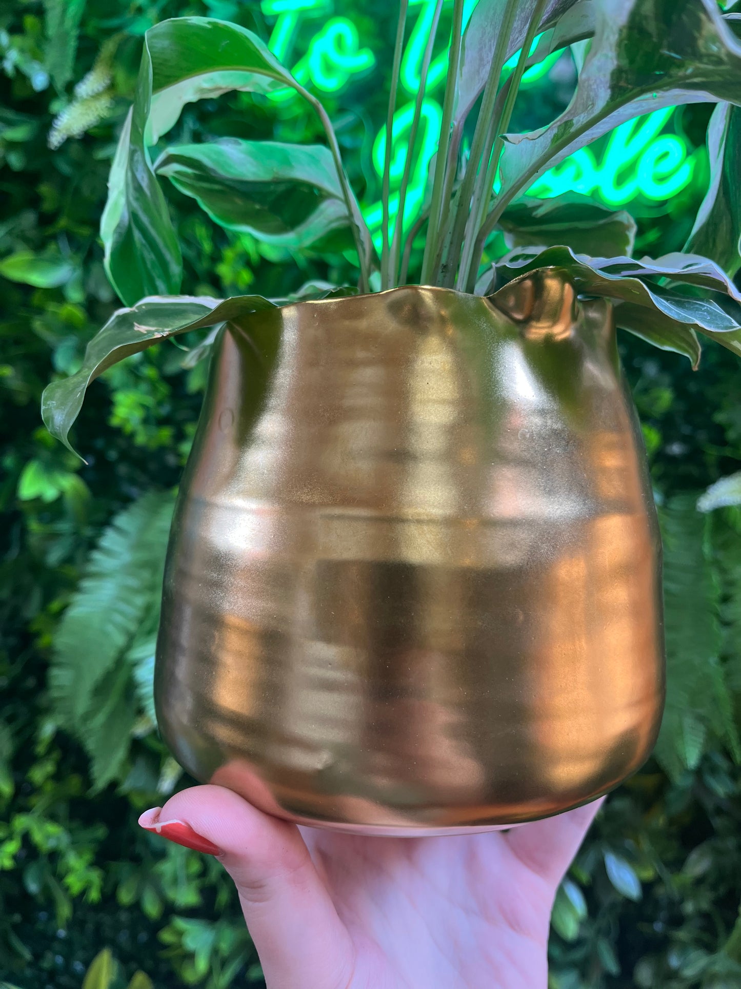Tegan Pots - Gold