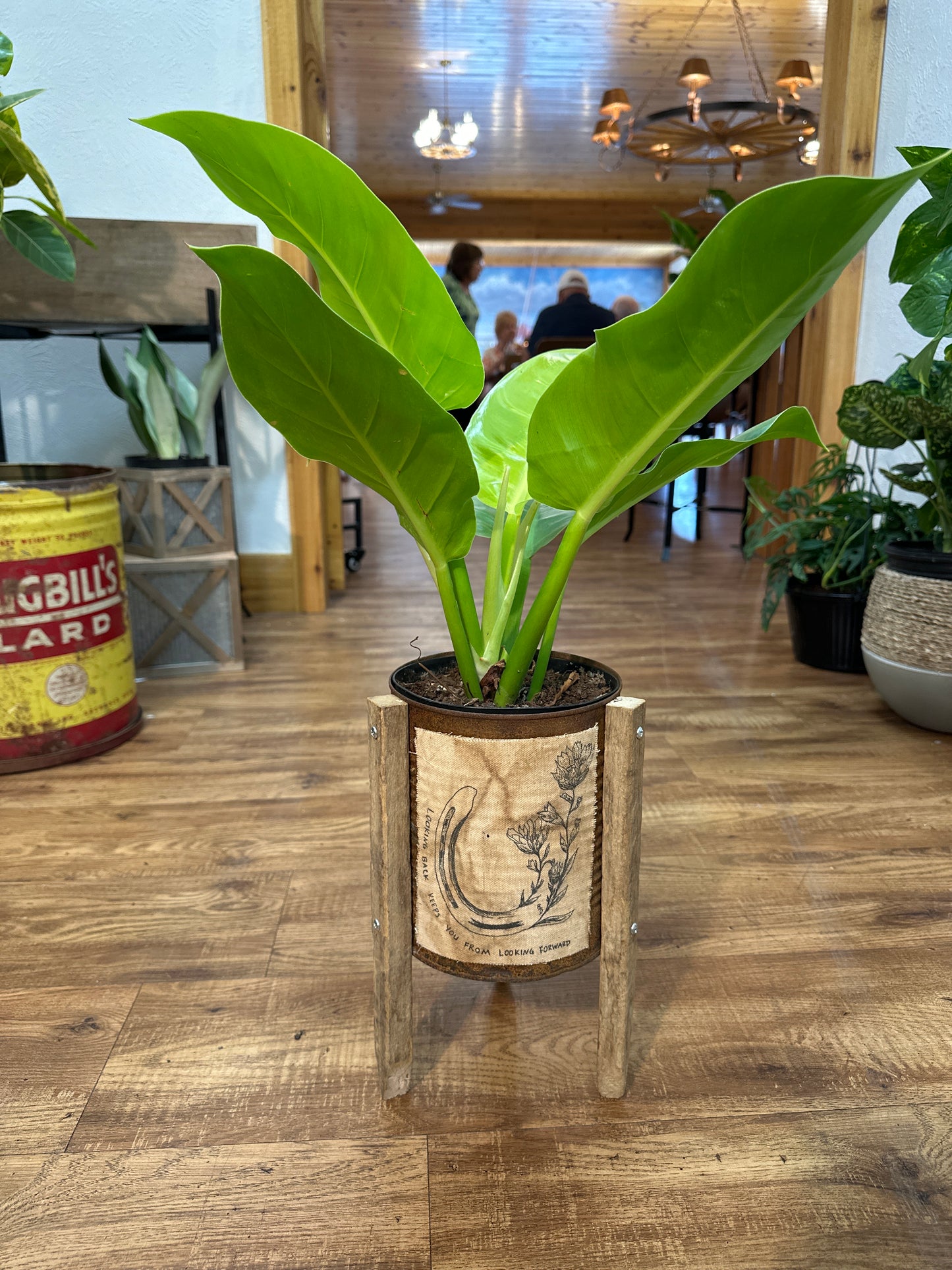 Looking Back Rust Bucket Plant Stand 6” Opening