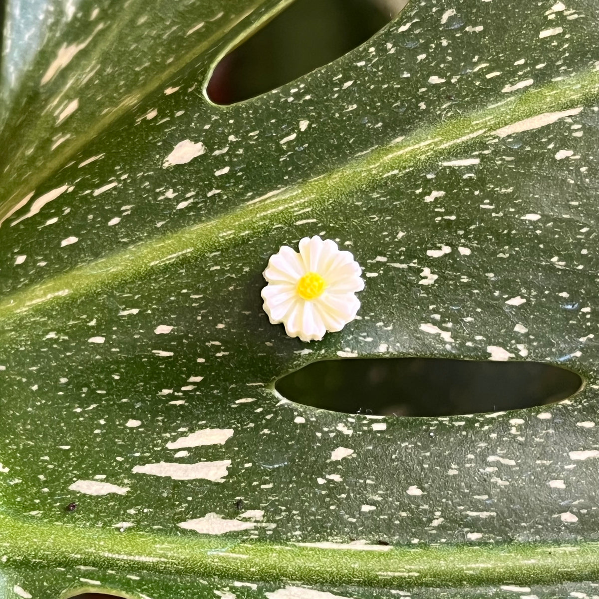 Flower Plant Magnet
