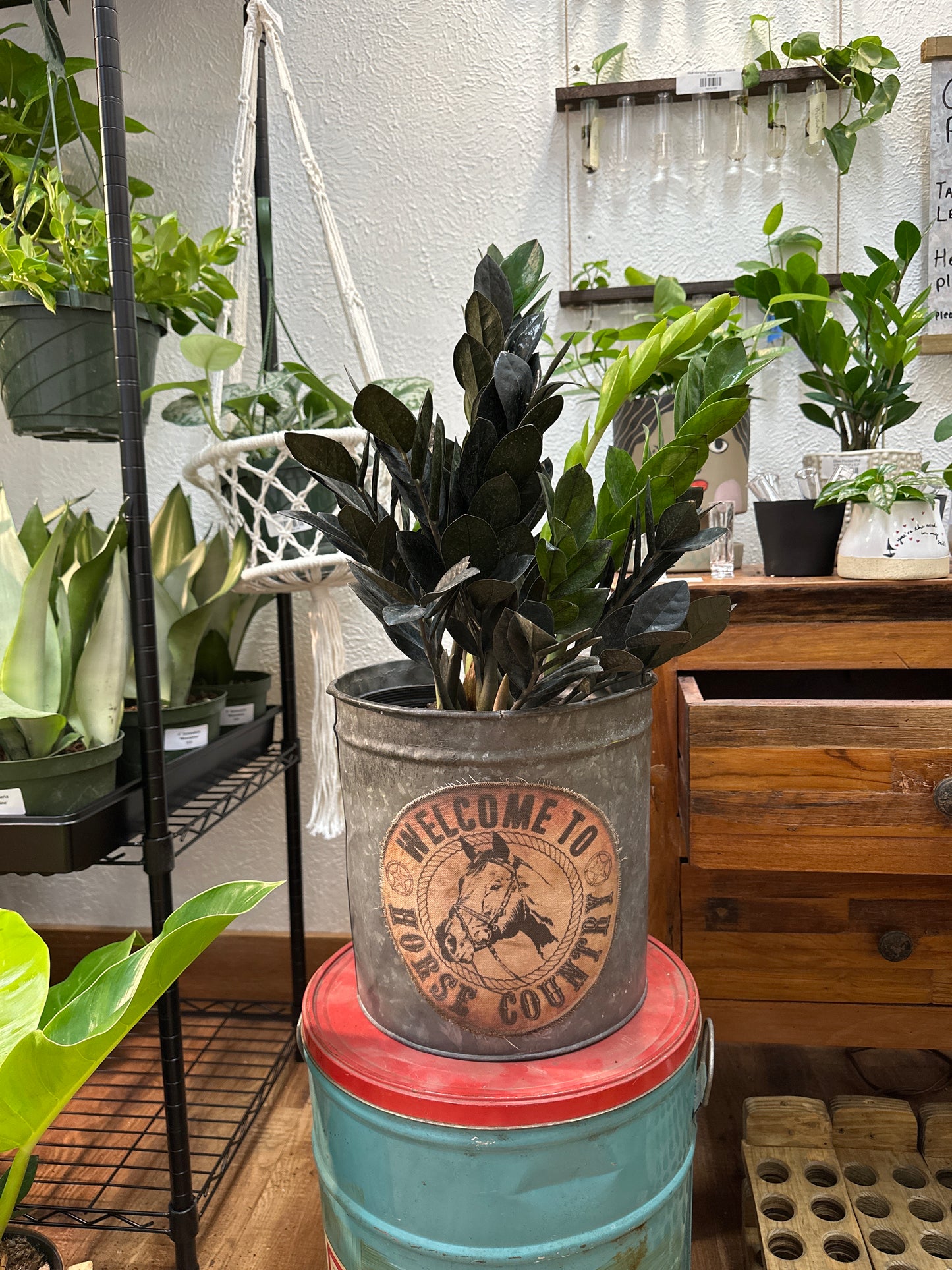 Welcome to horse country bucket 10” opening