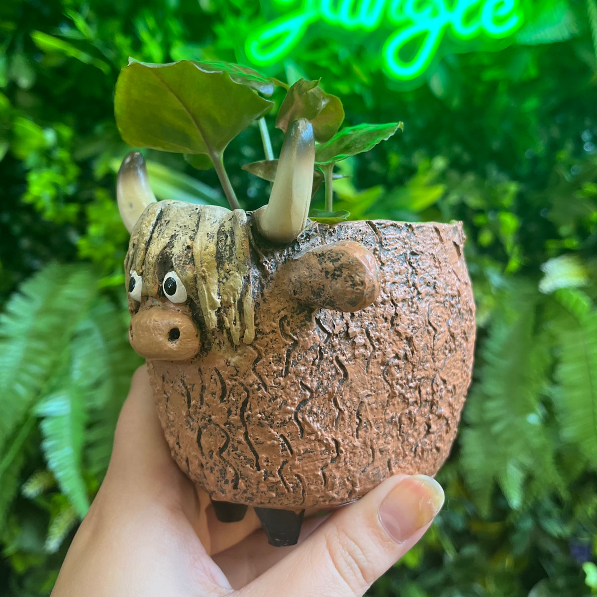 Dougal the Highland Cow - Blobhouse Planter