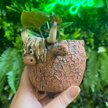 Dougal the Highland Cow - Blobhouse Planter