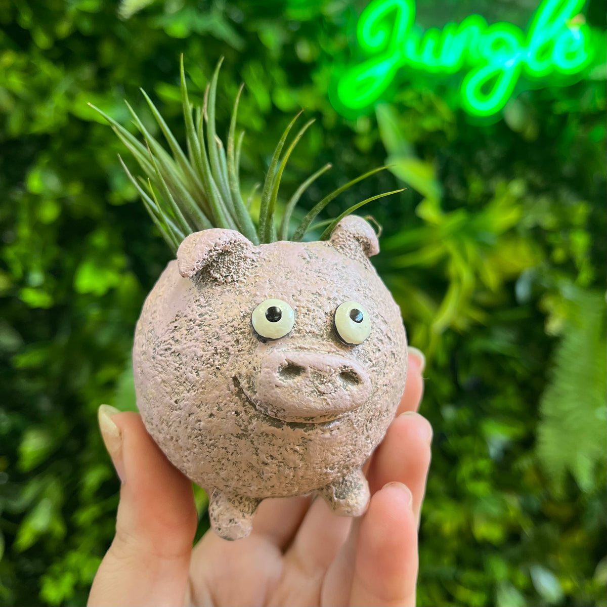 Henrietta the Pig - Blobhouse Planter
