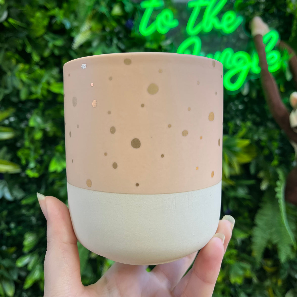 Nola Pot