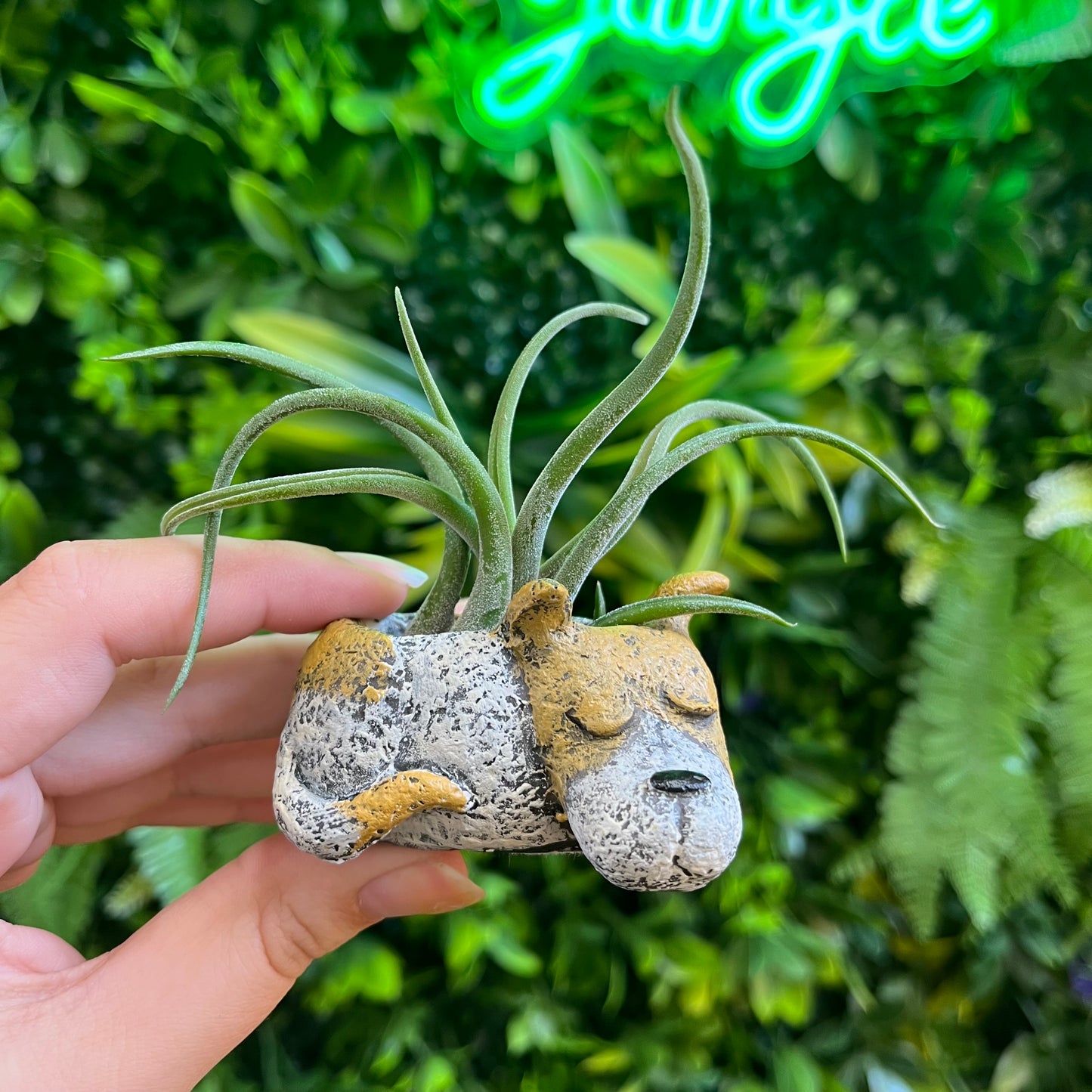 Luna the Dog - Mini Blobhouse Planter