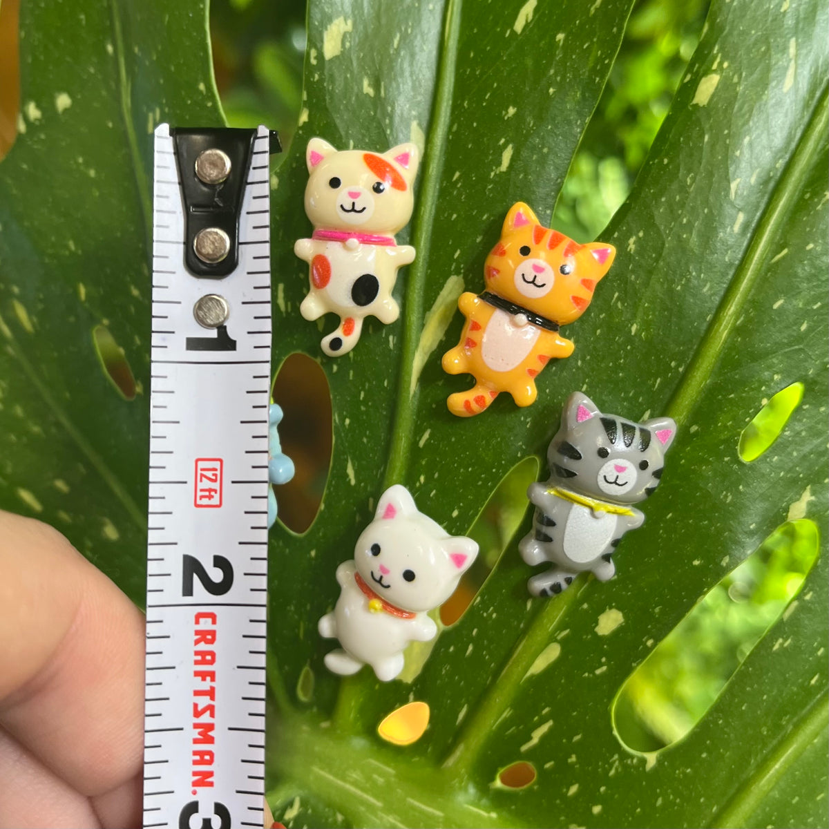 Mini Cat Plant Magnet