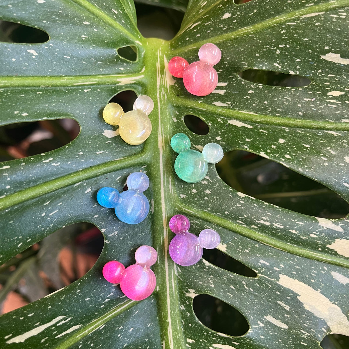 Bear/Mickey Head Plant Magnet