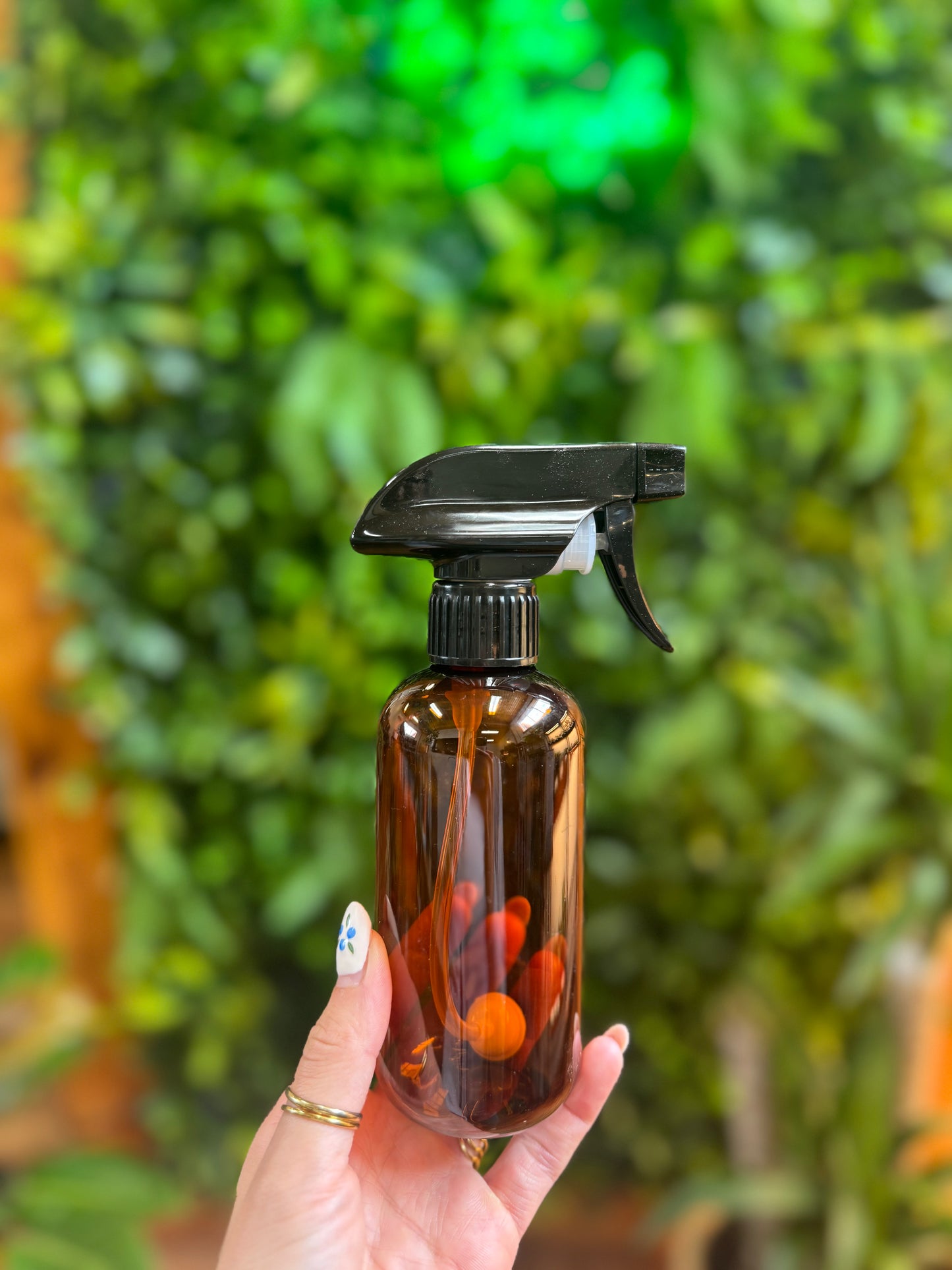 Plant Spray Bottle