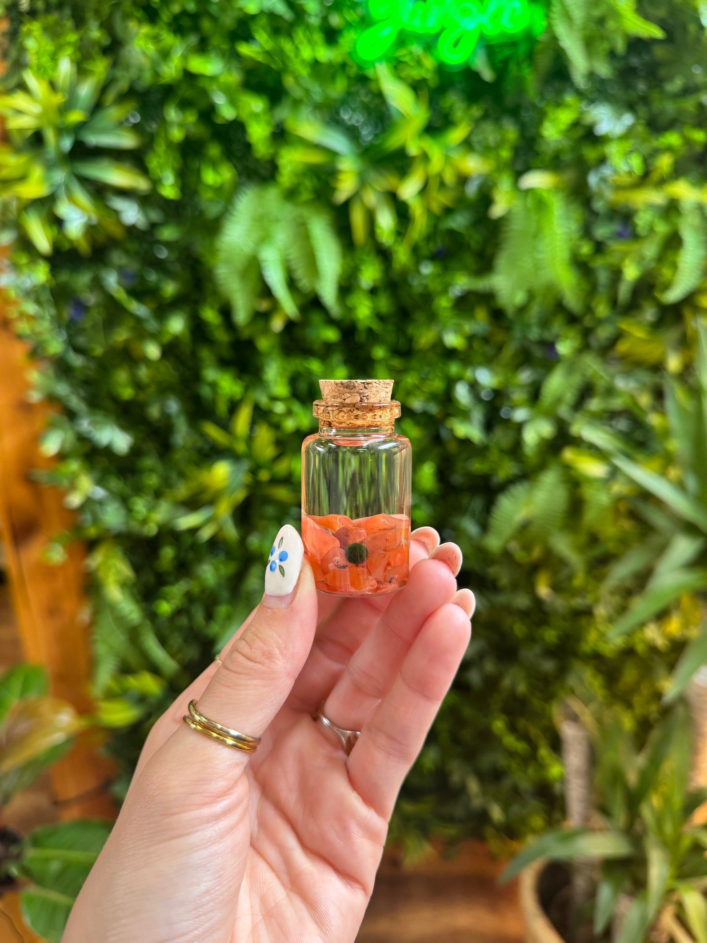Moss Balls
