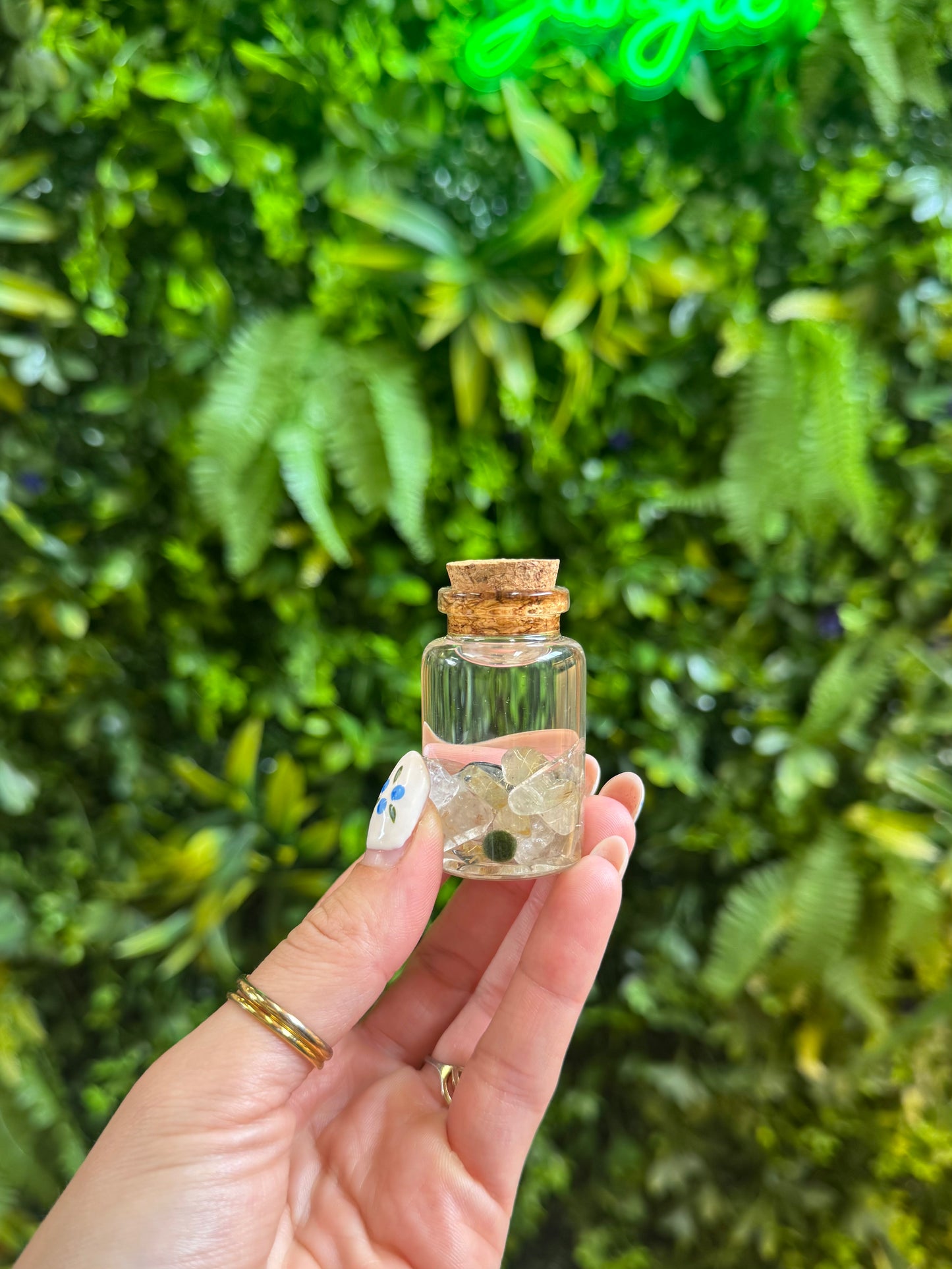 Moss Balls