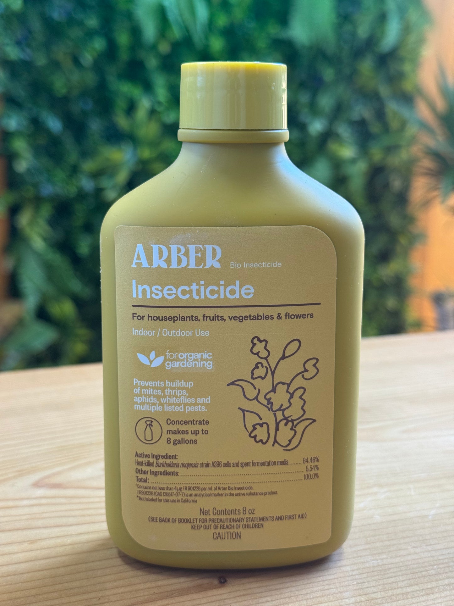 Plant Insecticide