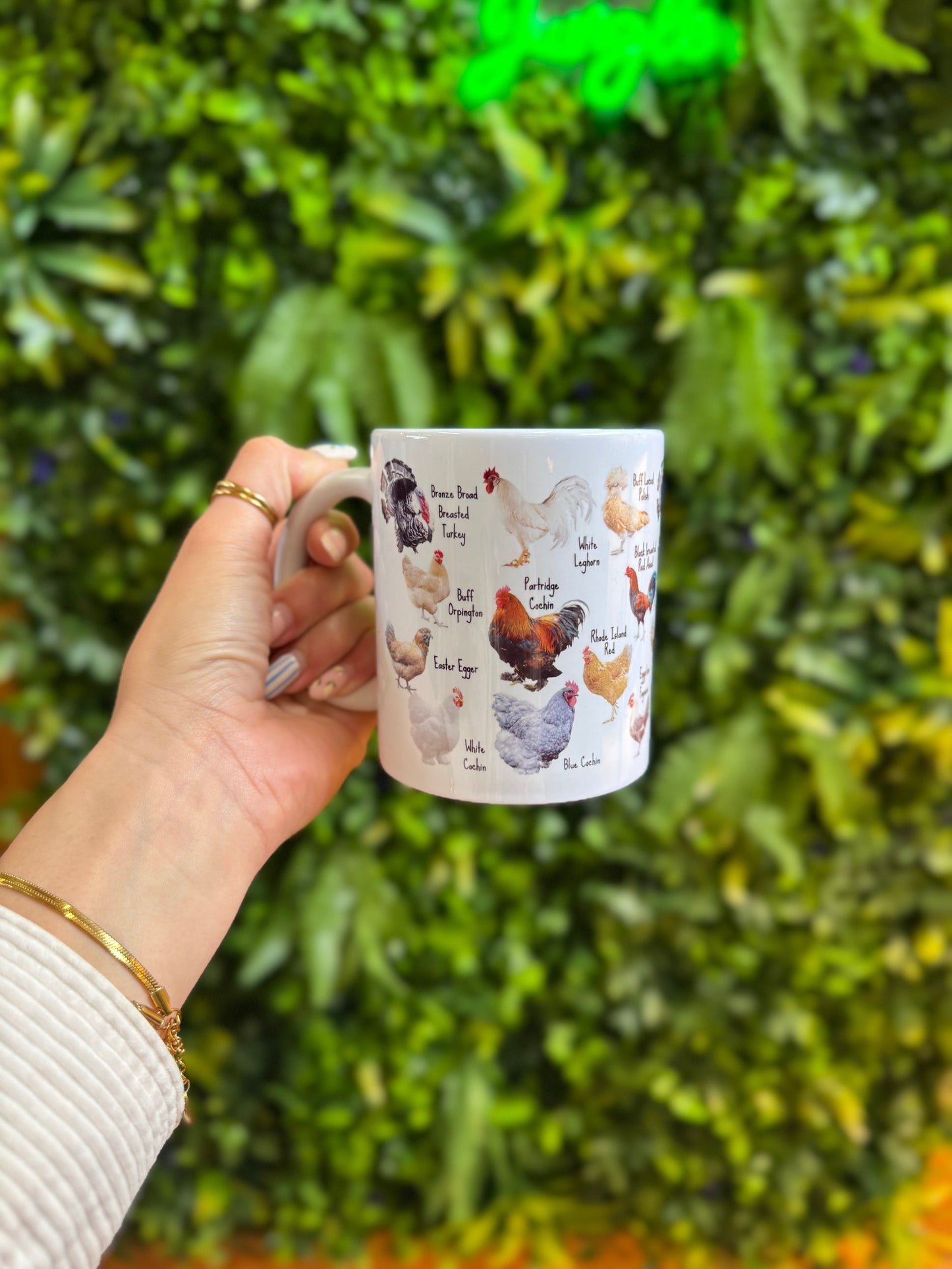 Chicken Mug Pot