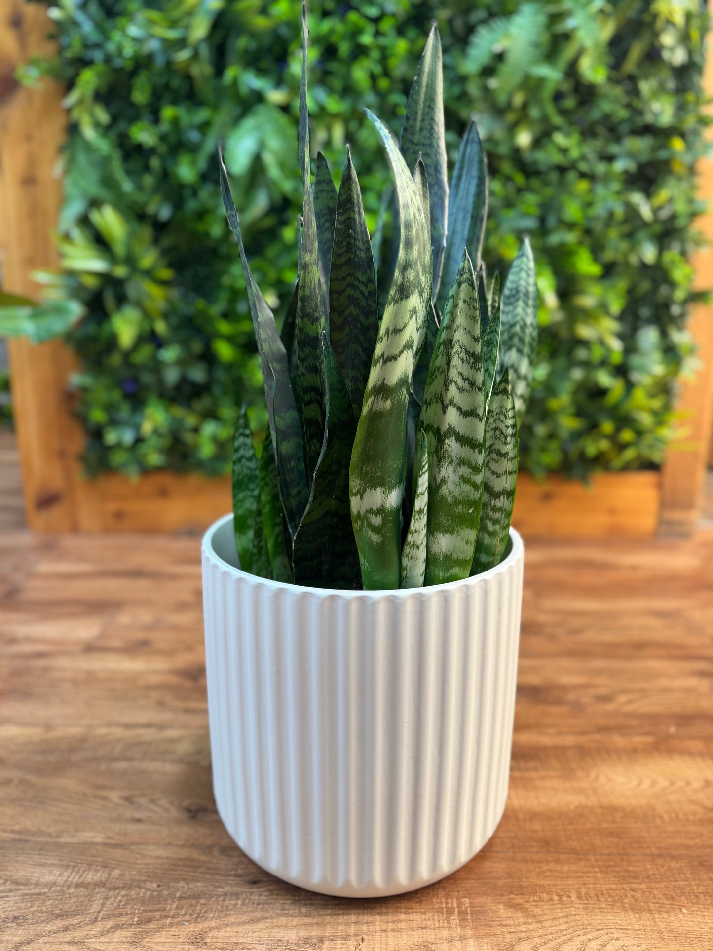 Beam Pot - Off White